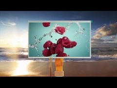 Tüm Görme açısı 10.1 inç Resistif dokunmatik LCD modülleri