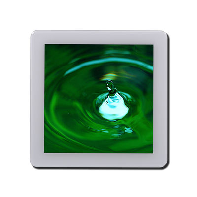 480x480 350cd/M2 St7701S Dokunmatik Ekran Ekran Paneli Spi Rgb Arayüzleri